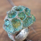 15 piccole creature jewelry formentera  bronze ring